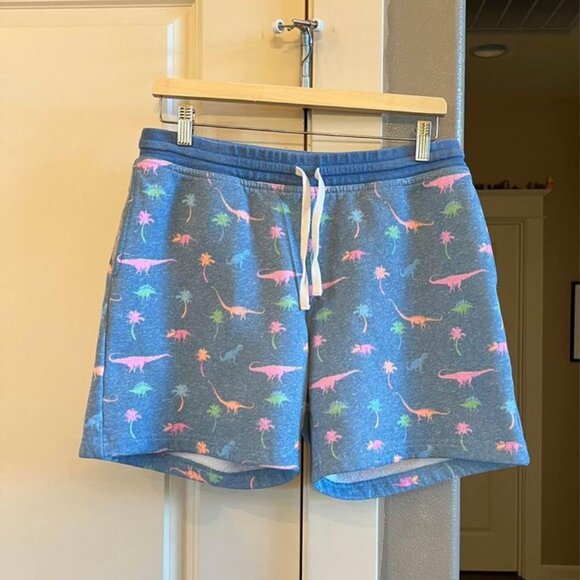 Men’s Chubbies Brand M‎ Distressed Light Blue Dinosaur Themed 7” Inseam Shorts - Picture 1 of 5